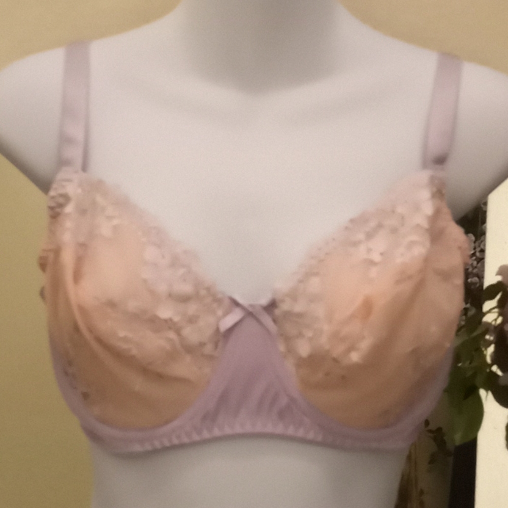 Curve Muse Embroidered Lace & Mesh Bra